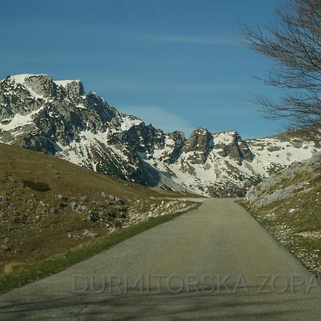 Durmitorska Zora Villa Zabljak  Bagian luar foto