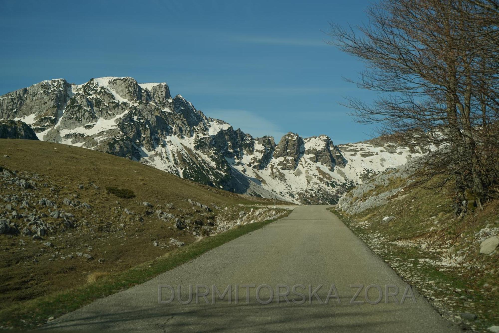 Durmitorska Zora Villa Zabljak  Bagian luar foto