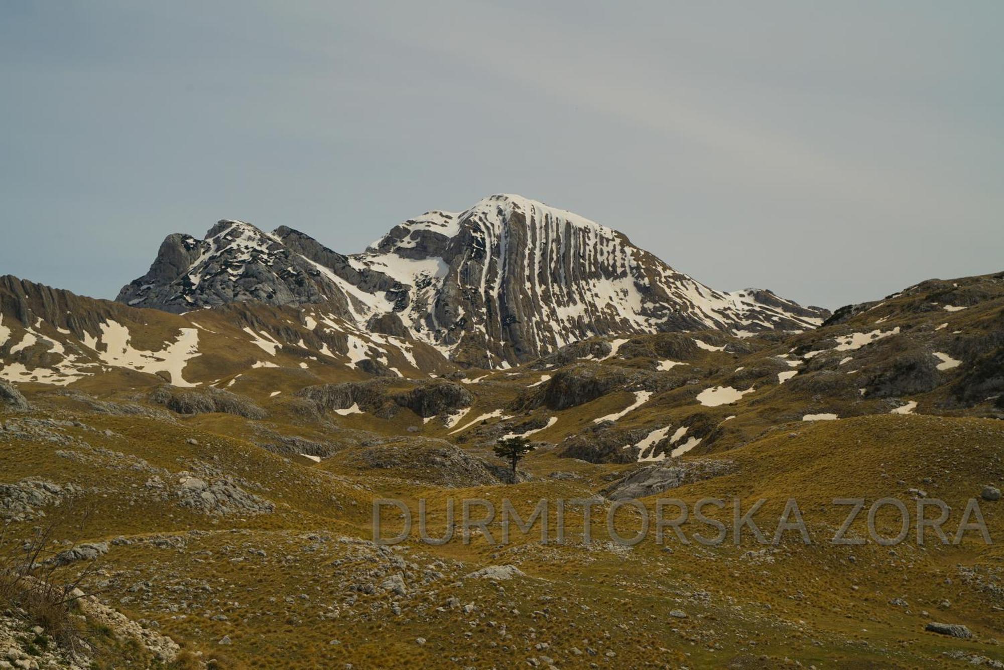 Durmitorska Zora Villa Zabljak  Bagian luar foto